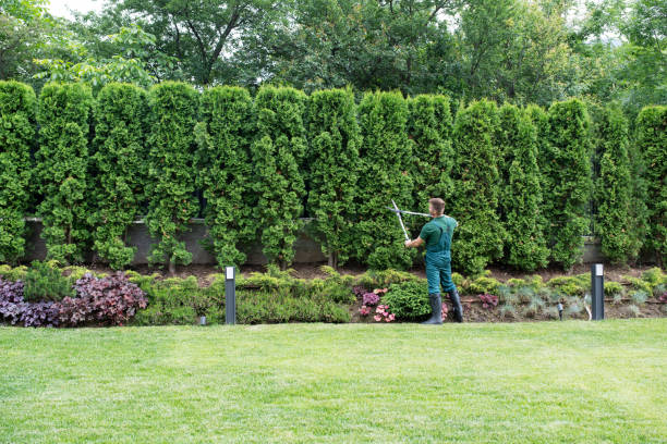 Best Soil Testing and Treatment  in Mount Airy, GA